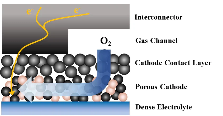 Schematic diagram of the cathode and interconnector contact interface Schematic diagram of the cathode and interconnector contact interface